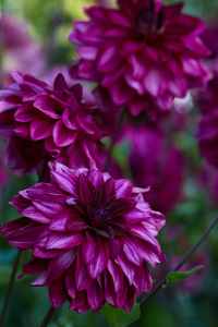 Image 36